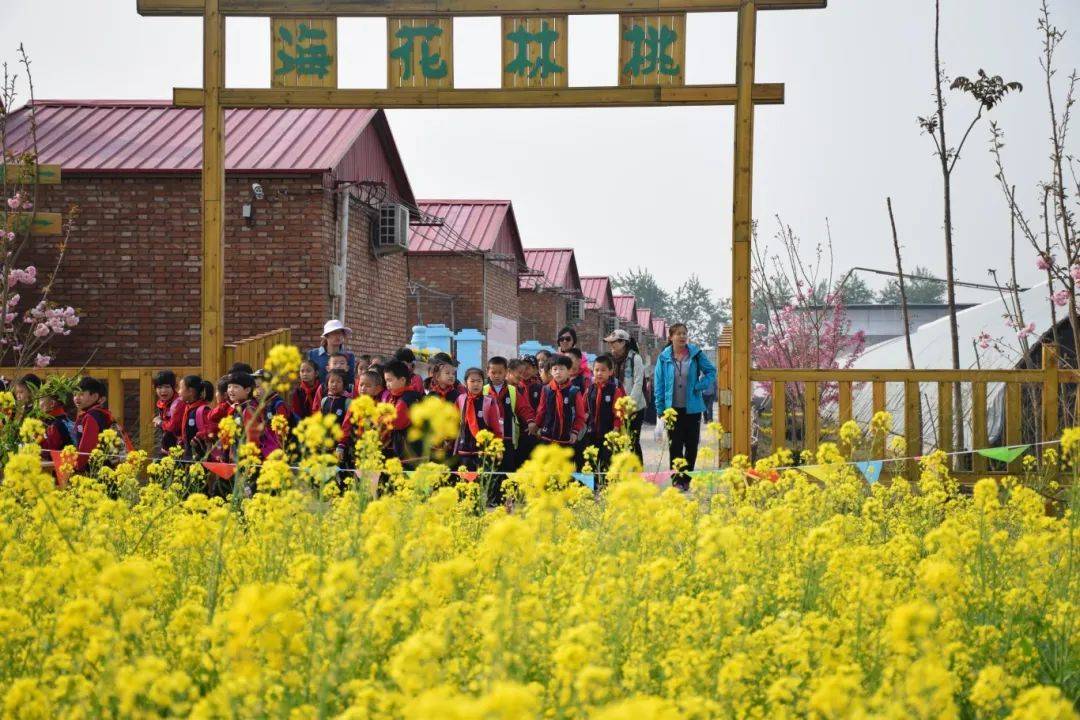 石家庄7条休闲农业游线路带你春观花