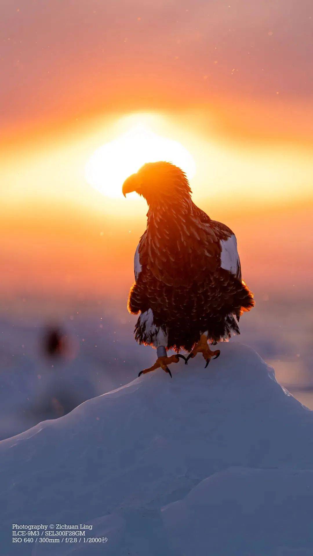 1080_1920竖版 竖屏