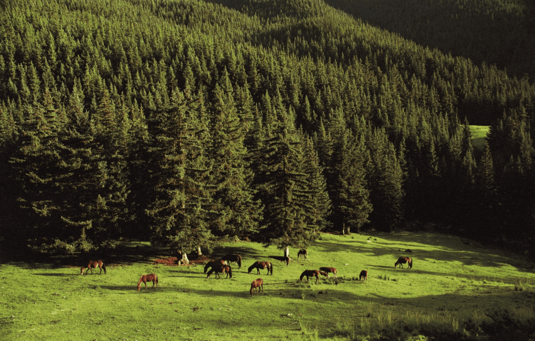 别宅啦阿拉善周边自驾游竟有这么多好去处