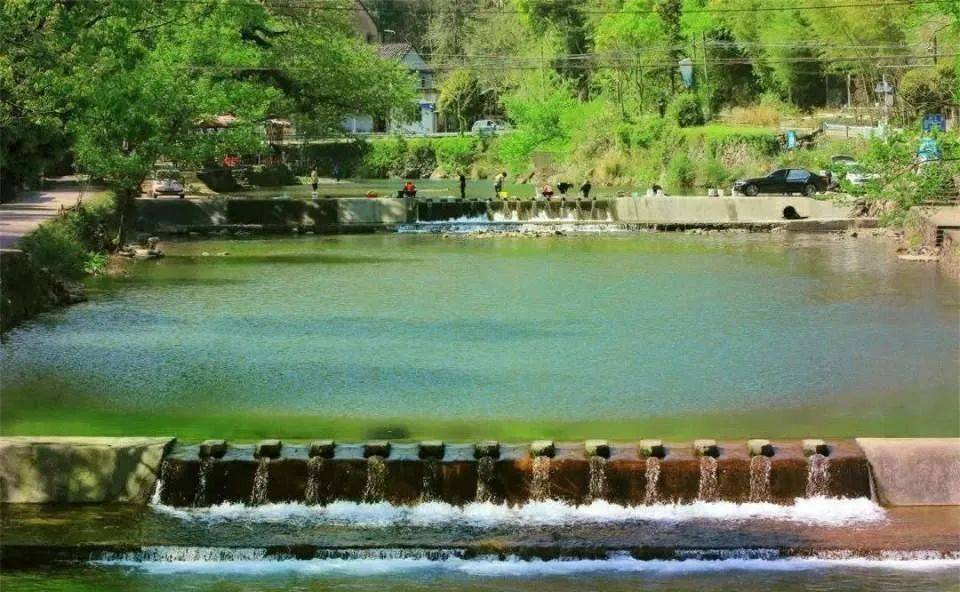 浙江10个适合春天旅游的景点,假期挑一个出发吧!