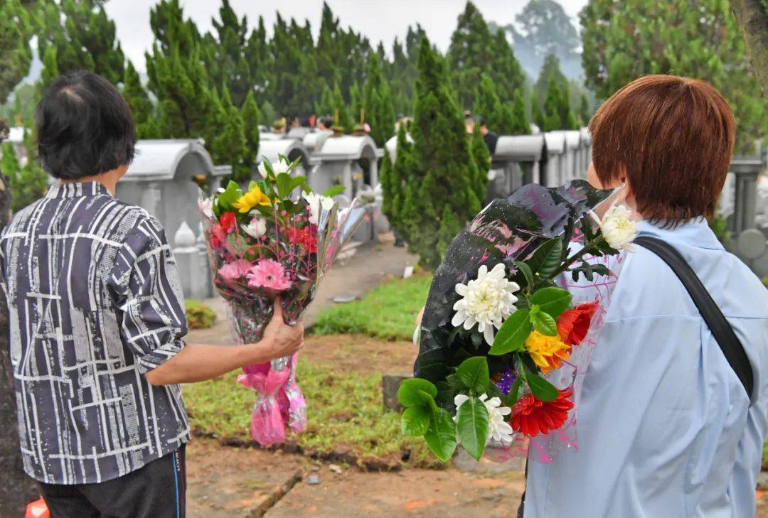 鲜花寄哀思阳江越来越多市民选择绿色文明祭扫