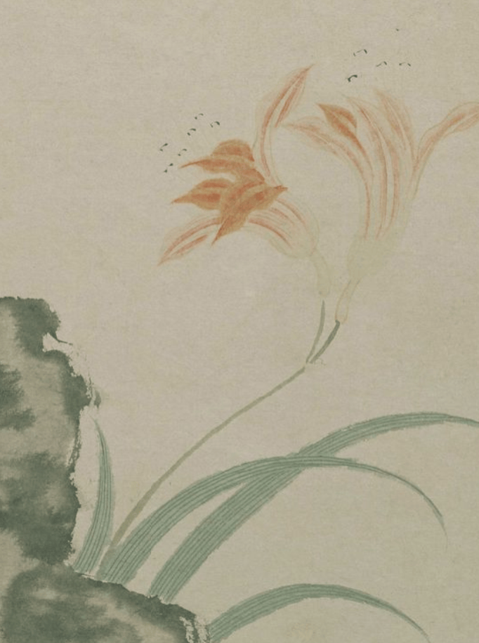 明朝第一女画家,多画幽花异卉、小虫怪蝶_文俶_赞誉_花卉