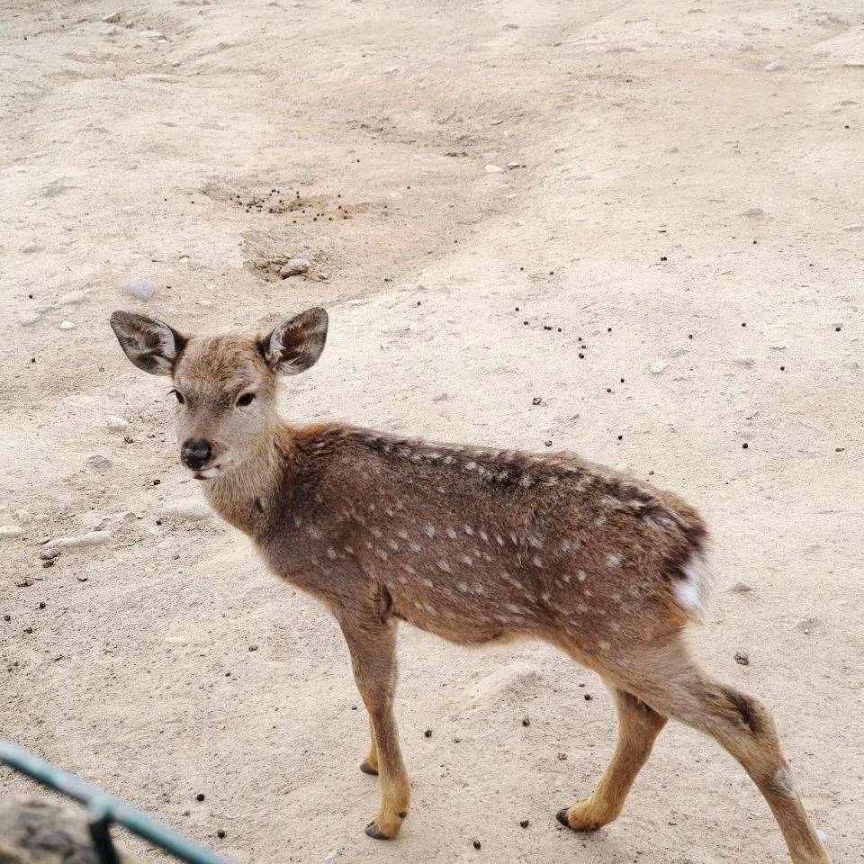 世园·罗曼小镇密地童趣探索工厂等你和孩子来解锁抓鱼,挖沙,寻宝是