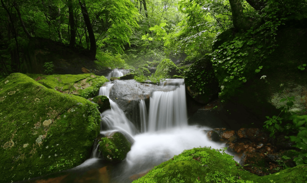 清明假期来吉林上春山一起趣爬山