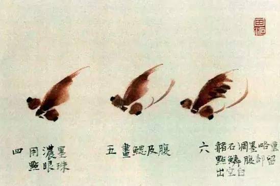 写意国画金鱼的画法内附视频教程