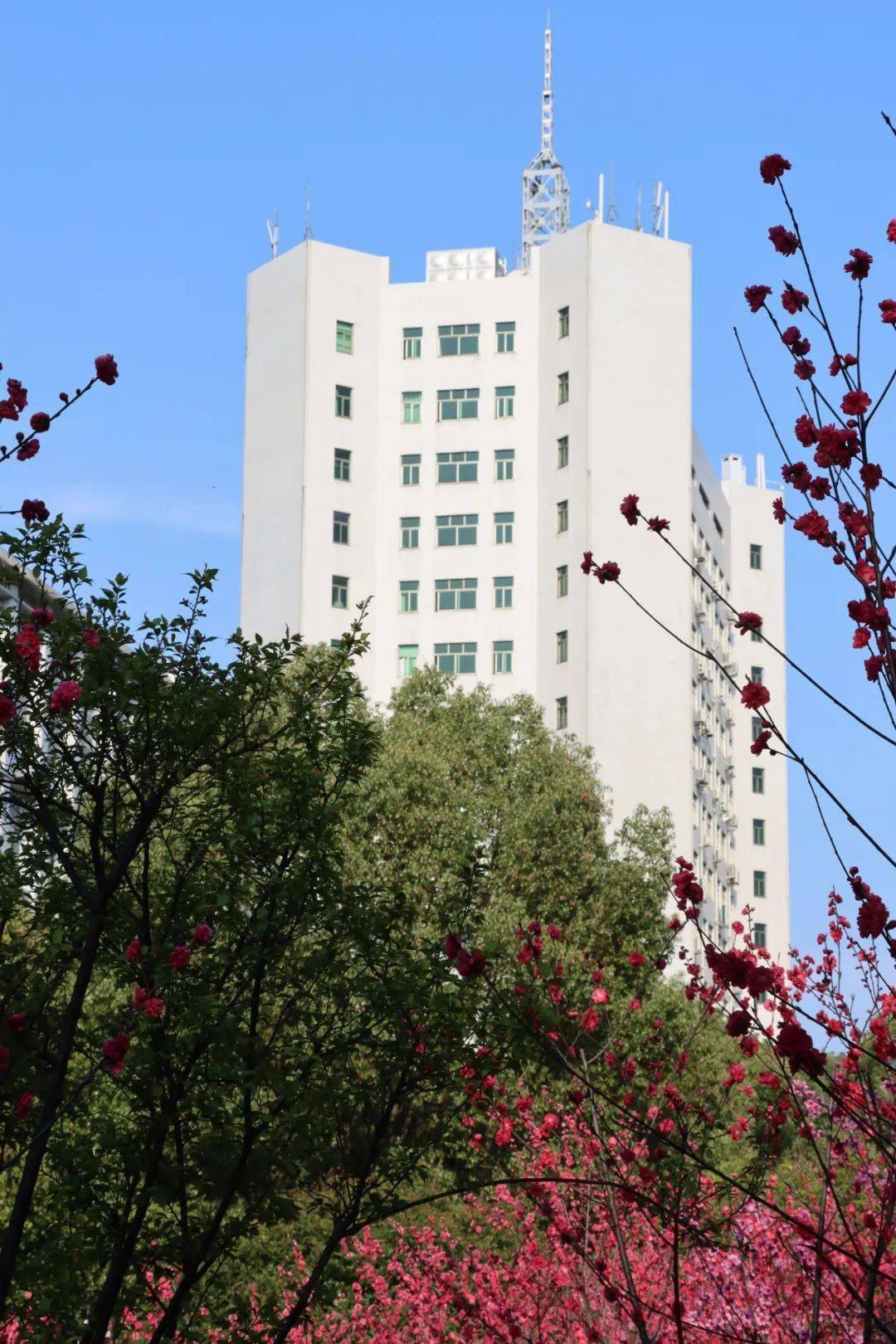 就等你啦来中南一骑走花路