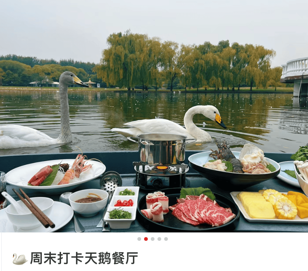 北京四环外的这片豪宅,被年轻人逛疯了_紫玉_山庄_动物