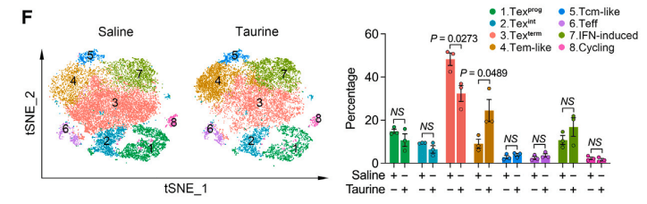 cell:这种常见的饮料成分能延寿和增强癌症治疗_研究人员_化疗_细胞