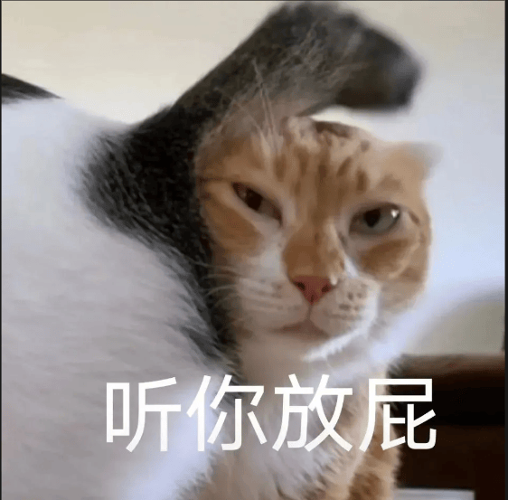 后台回复"表情包"获取更多最新猫咪表情包,每天12点更新