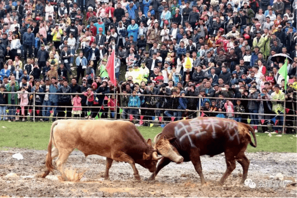 中秋文化节,石榴采摘节,黑山羊美食节等10余个民俗文化旅游节庆活动