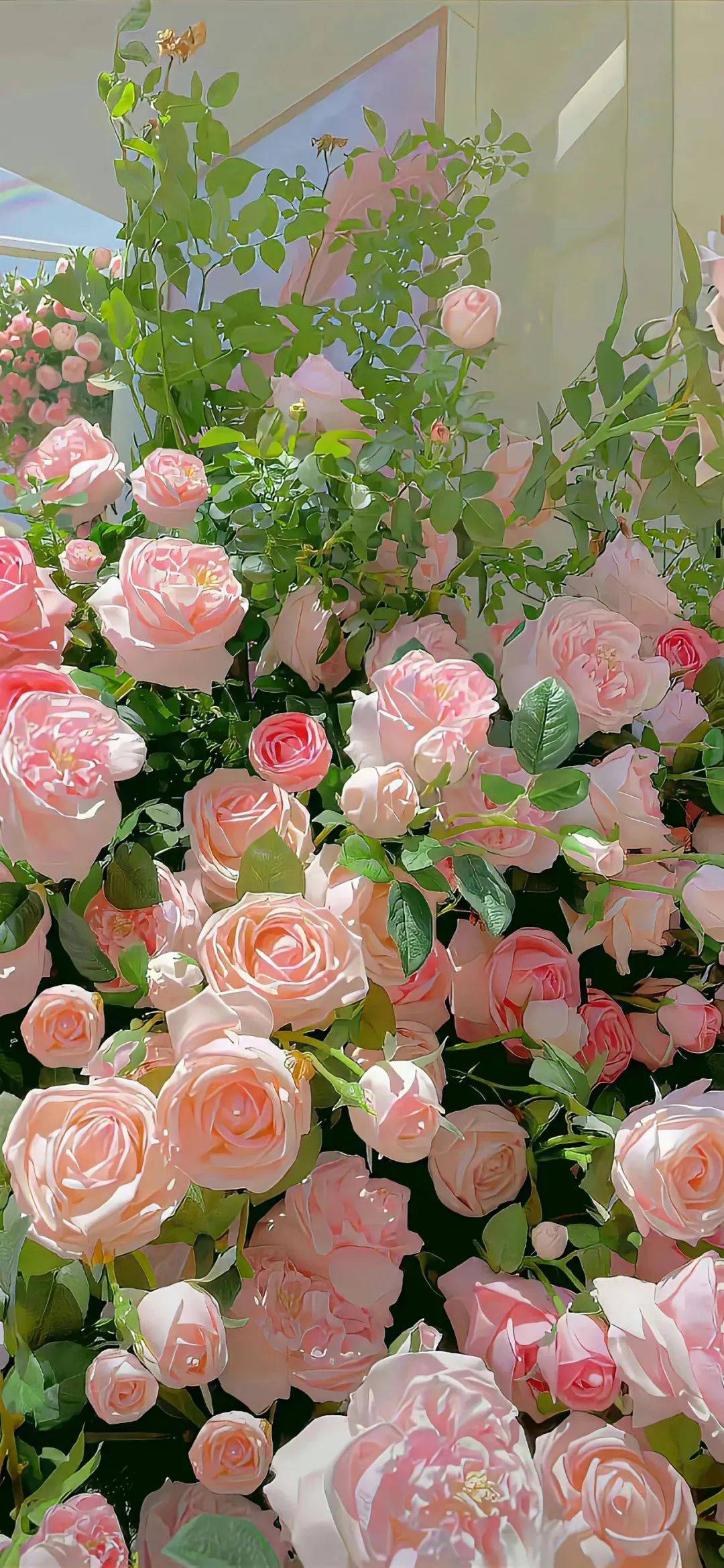 壁纸39张壁纸wallpaper直接保存