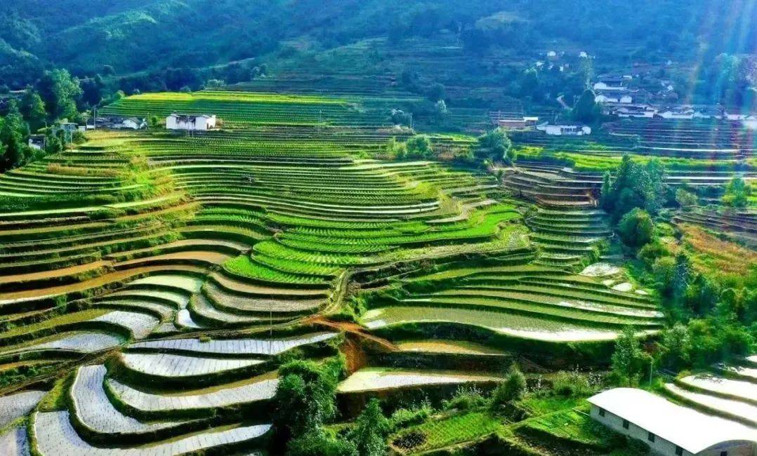 走进大凉山会理