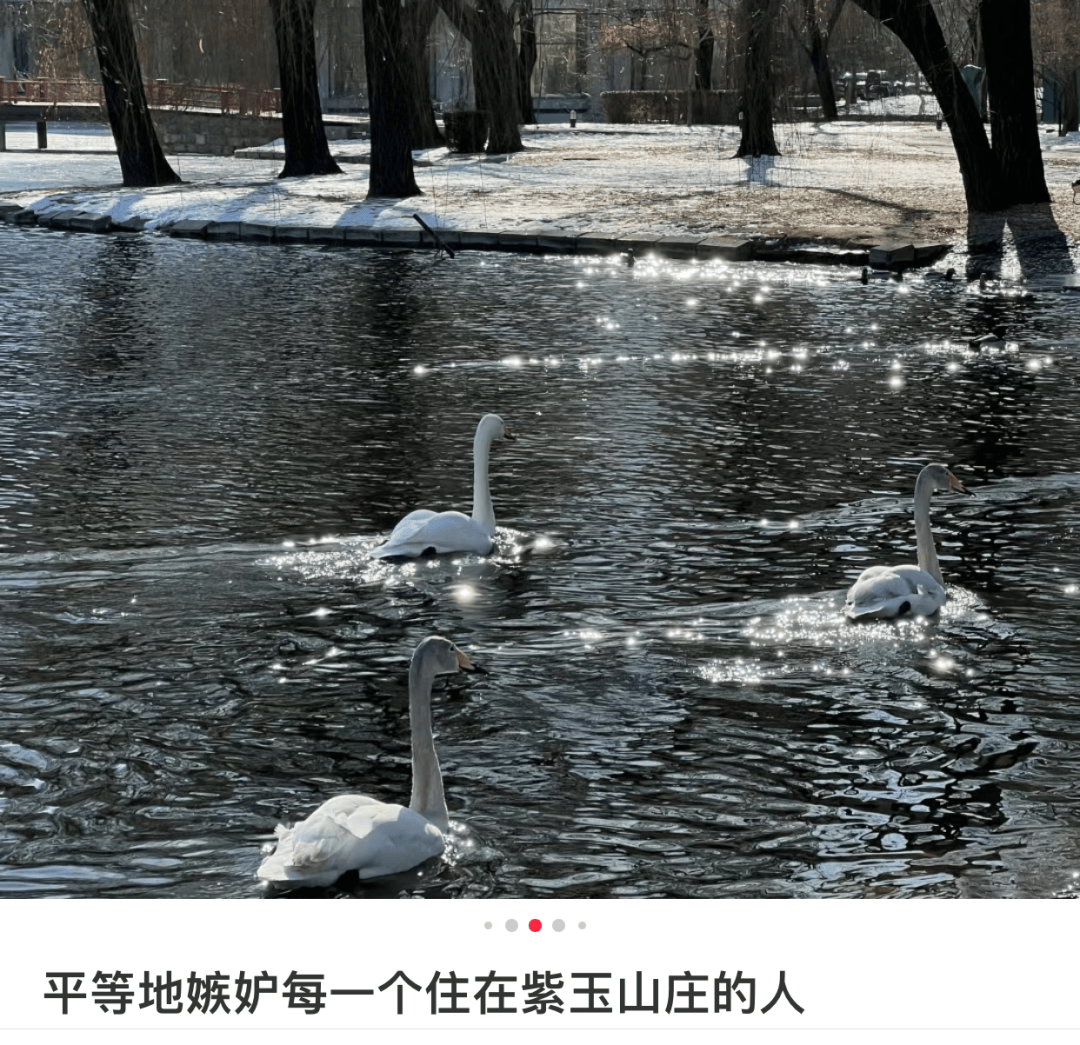 北京四环外的这片豪宅被年轻人逛疯了