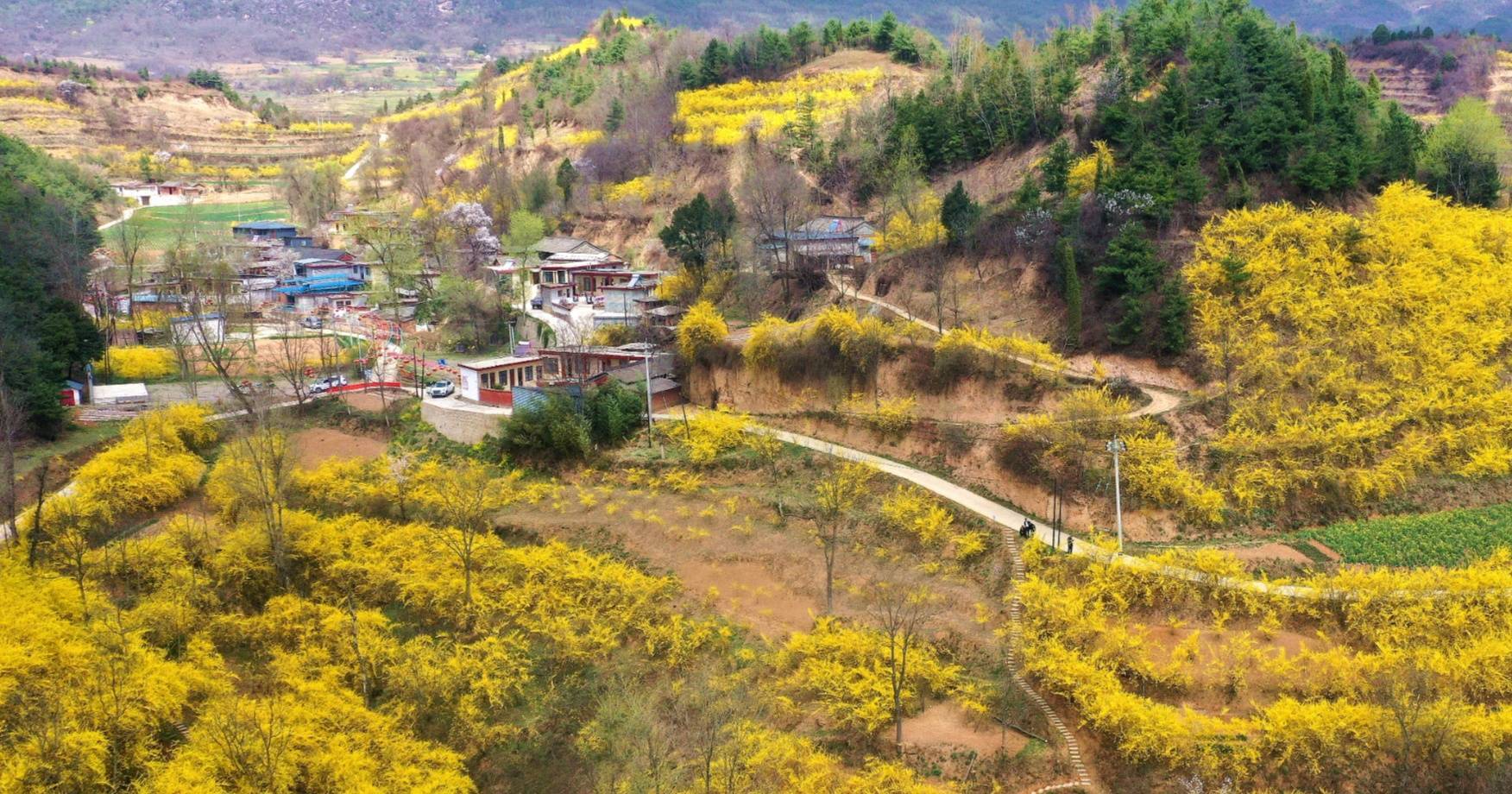 甘肃成县筑梦沃野绘新景和美乡村踏歌来