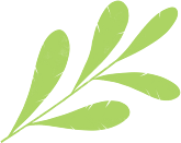 发展体育运动绽放生命活力经开一校五中校区春季田径运动会精彩纷呈