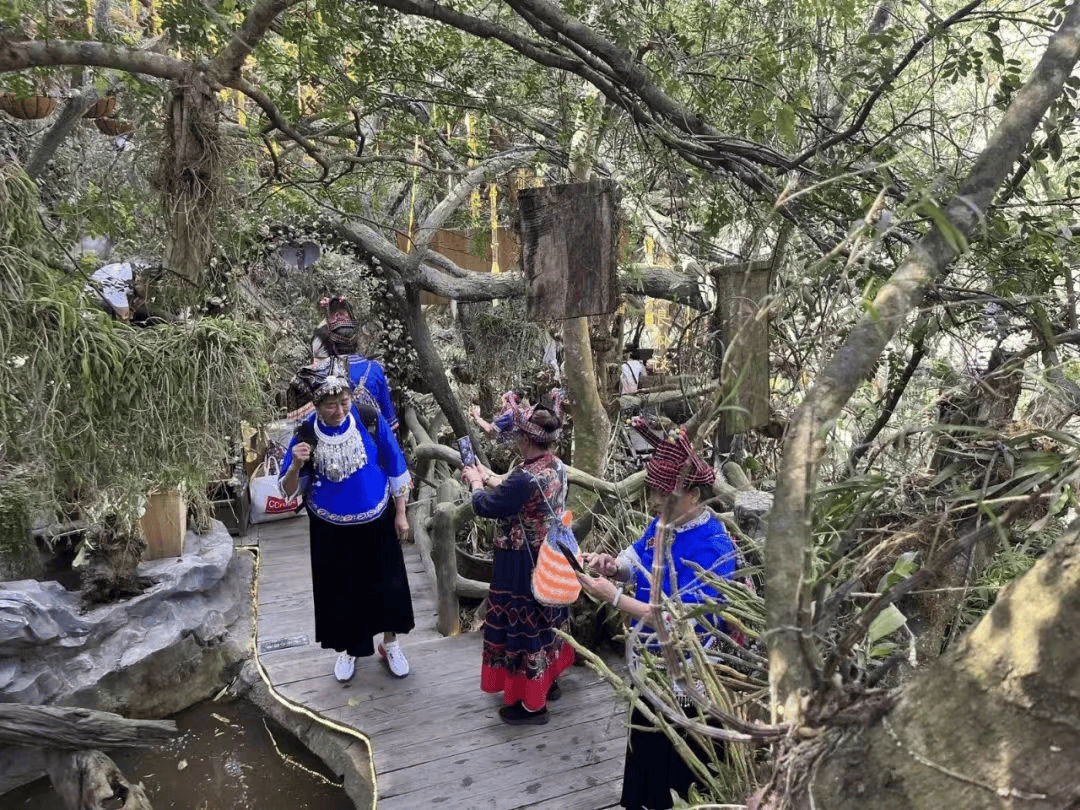 火爆文山6天旅游收入超77亿