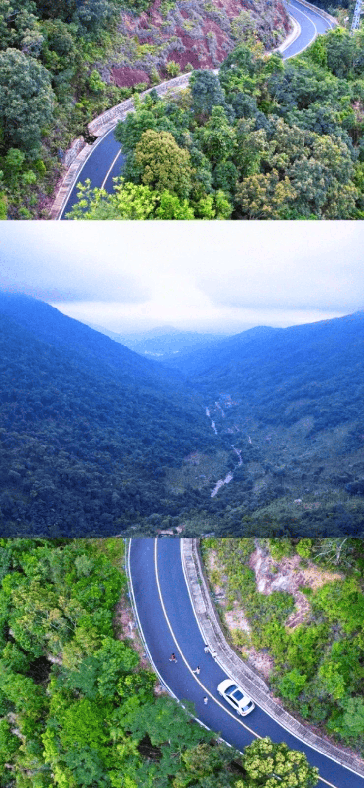 吊罗山海拔图片