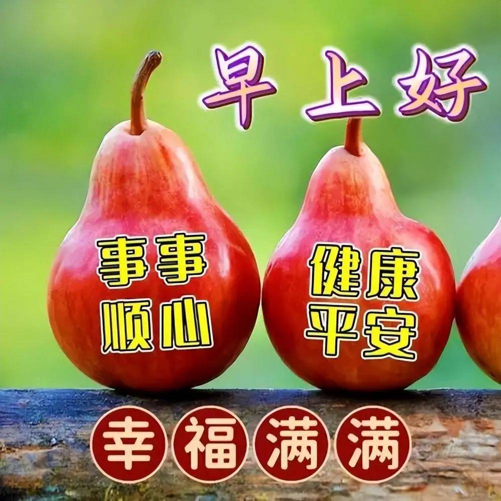 新版朋友圈清早问候图片大全2024最新版问候祝福图片