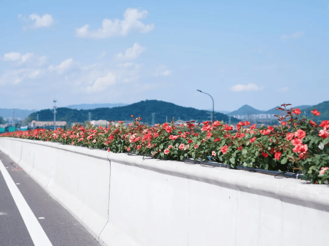 4月中下旬上线余杭高架顶流即将回归