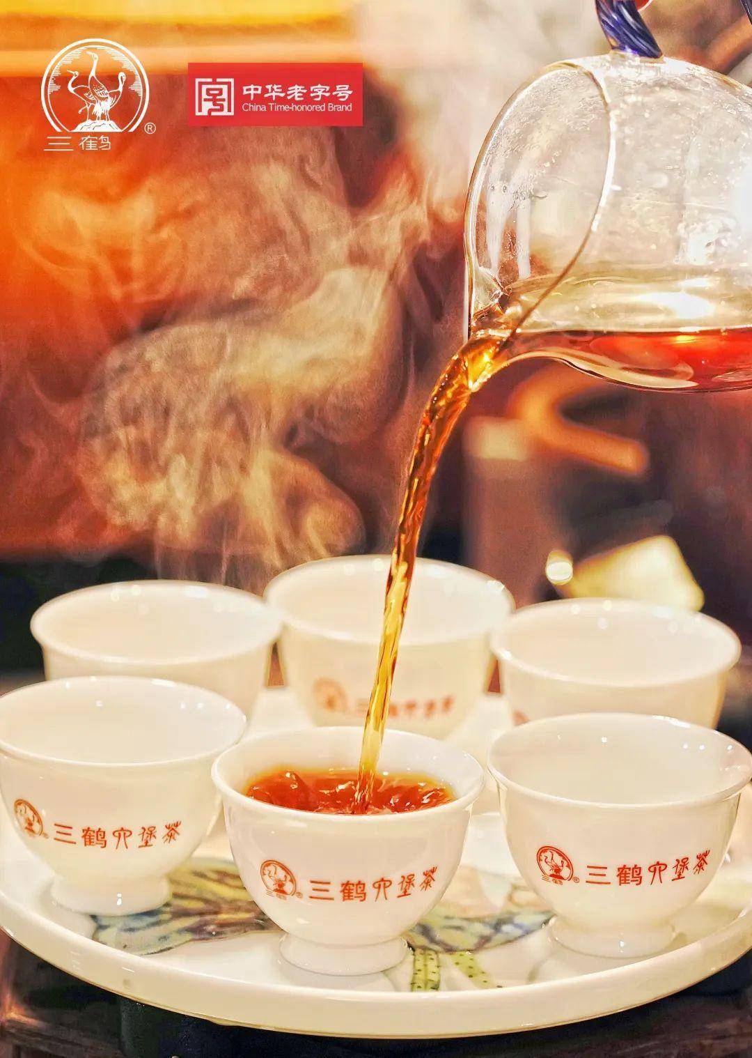 三鹤六堡茶【壮乡味道】品鉴评测