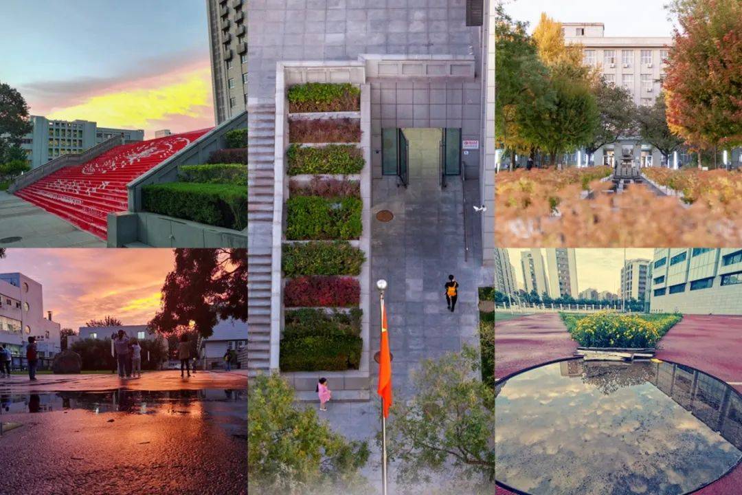 藏不住了 镜头里的首医 竟然那么美(附摄影大赛获奖名单)_校园_生活