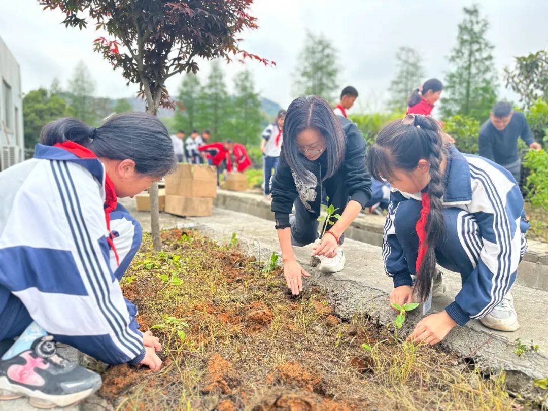 少年劳改学校图片