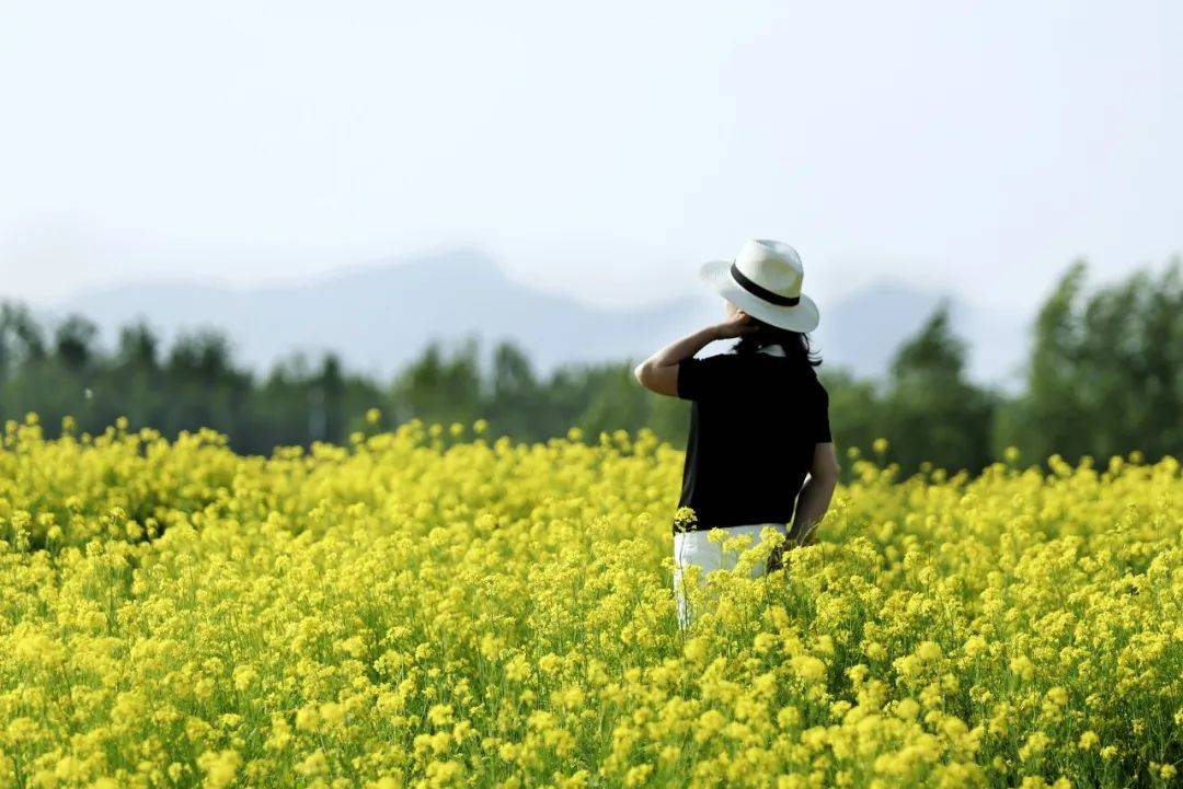 安静,是一个人的繁华_是一种_内心_净土