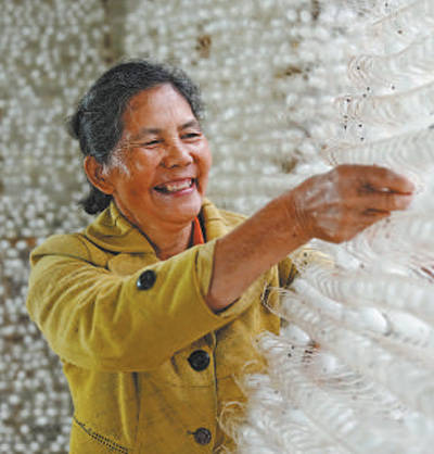 蚕桑农文旅融合发展呈现勃勃生机