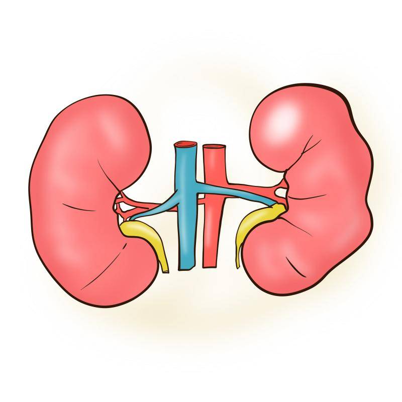 发现肾囊肿,哪些情况需要手术?_患者_体检_治疗