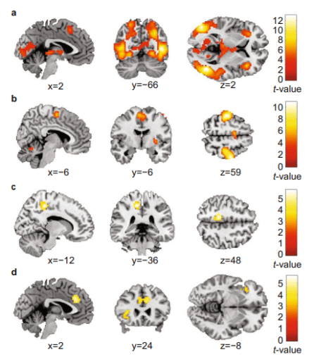 adhd群体究竟怎么吃更有效消除饮食法