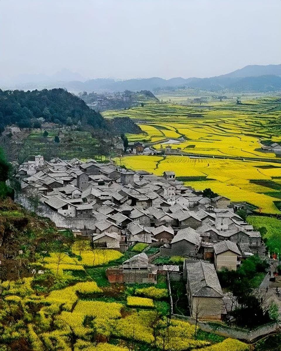 不会喝酒的老司机敢去贵州