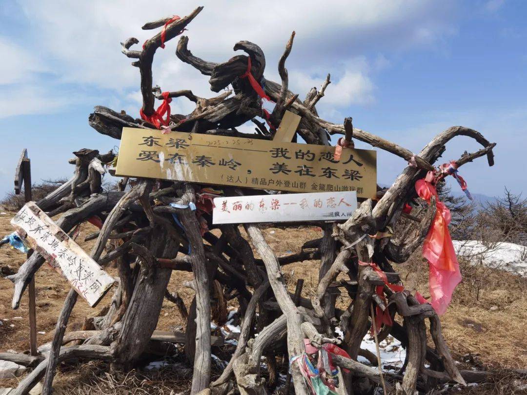 本周活动合集秦岭花海户外徒步休闲踏春邂逅醉美春光