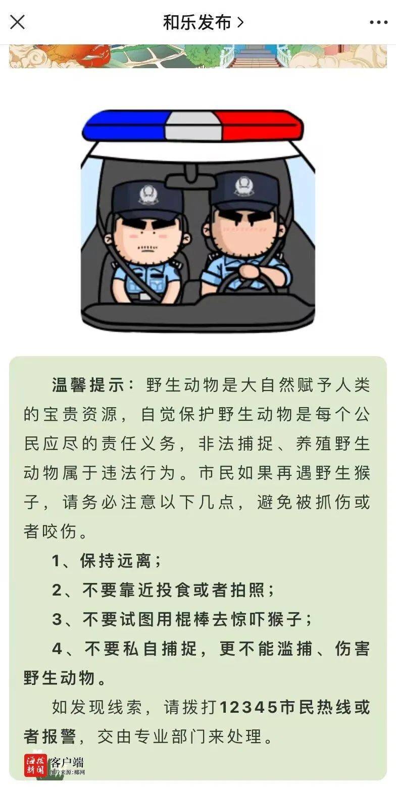 野猴进村伤人!海南万宁多名孩子受伤_猴子_村民_攻击