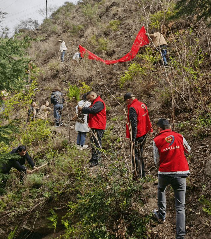 生态环保义务植树添青绿共绘九寨新画卷