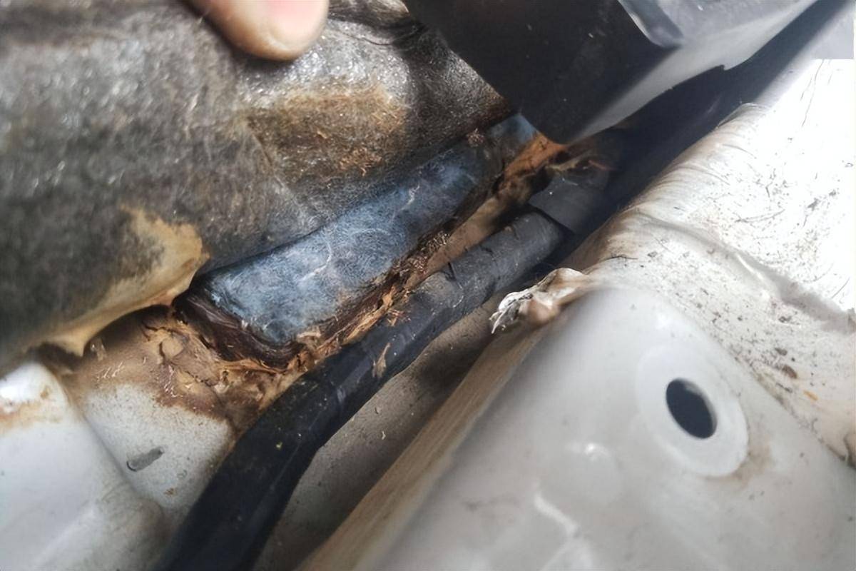 万辆水泡车即将涌入市场 如何辨别泡水车_搜狐汽车_搜狐网