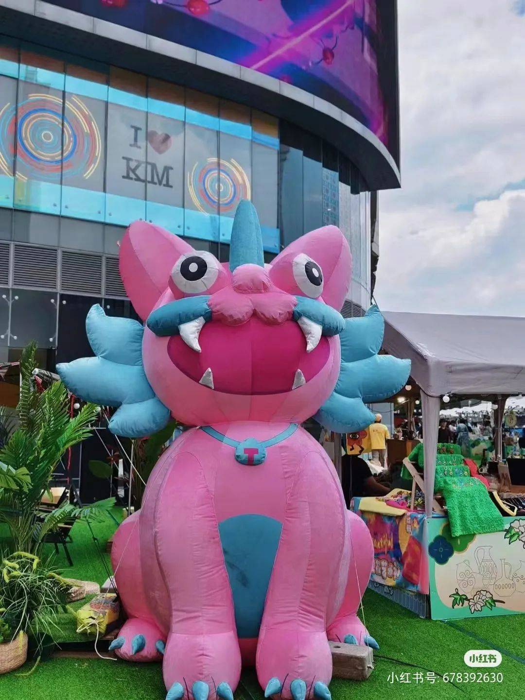 商圈丨昆明宠物友好商场已超10家上山喝茶新店落户正义路