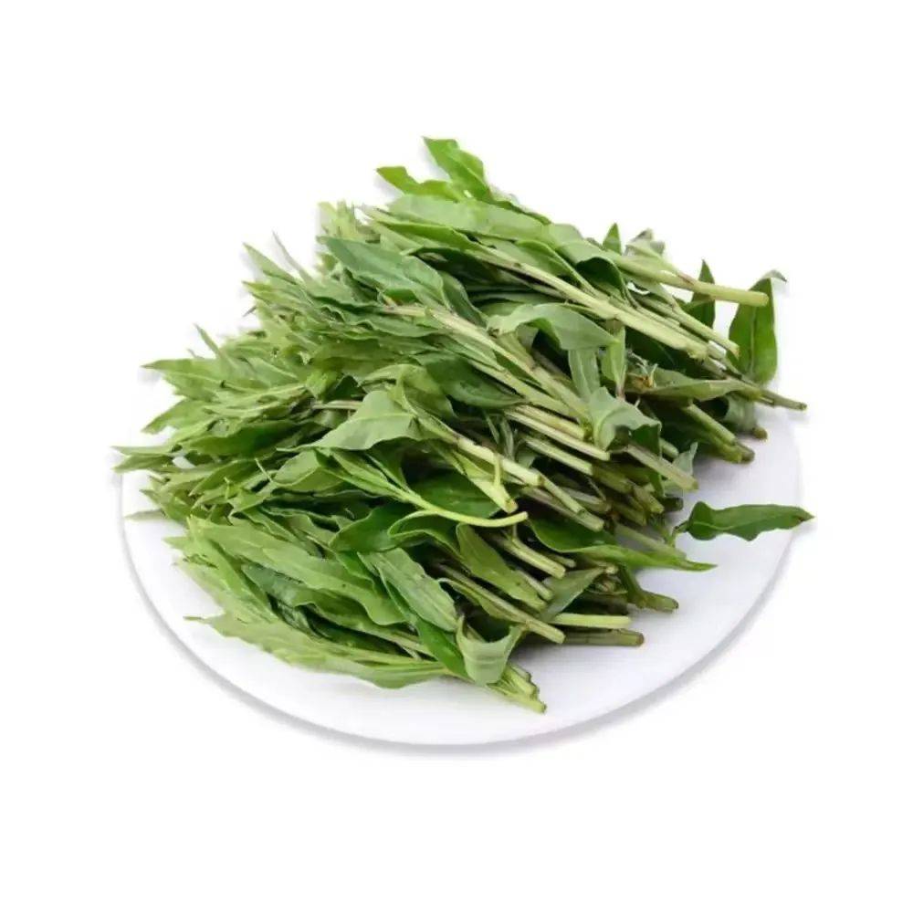 金陵春日大课堂【"七头一脑"篇】_食用_野菜_马兰头