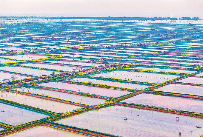 螃蟹养殖户水上春耕忙