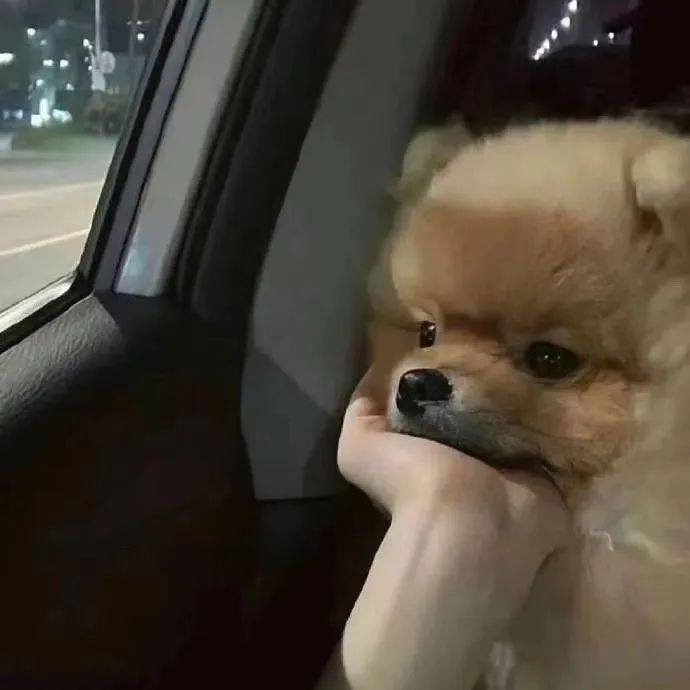 no2aqa考研复试水很深