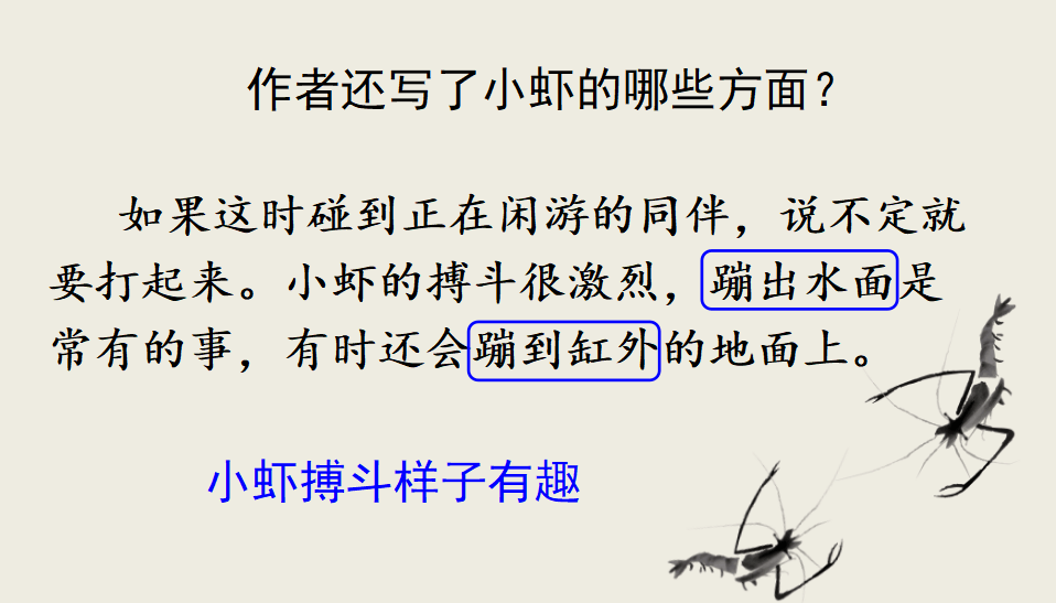 【课件】三年级语文下册 课文15《小虾》