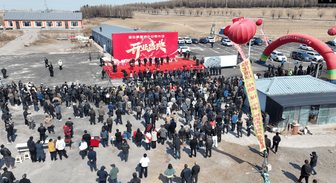 延边州首家活牛交易市场在敦化开集啦