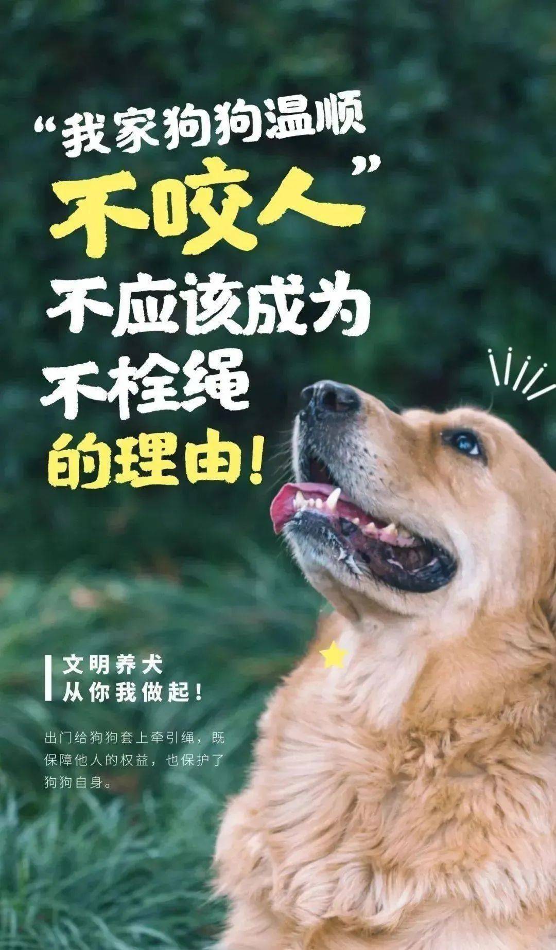 全体业主行动起来向小区里的不文明行为说不