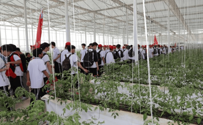 踏青徒步与青春同行丨扶沟县各高中团委组织学生团员开展徒步远足活动