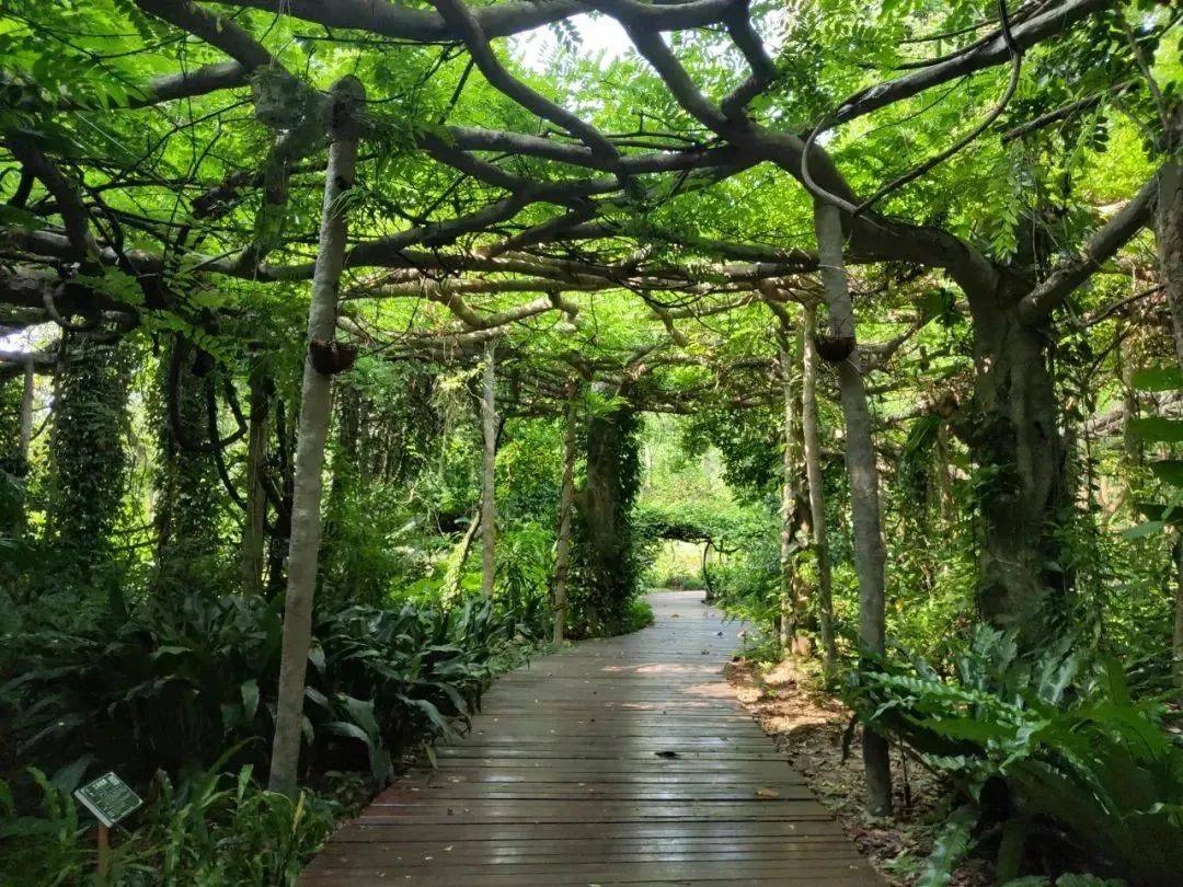 五大线路解锁最美三月三假期这份最南宁打卡攻略请收好