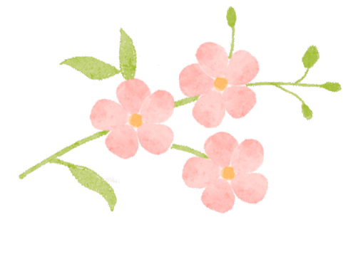 公园花信风人间四月天海棠花中仙