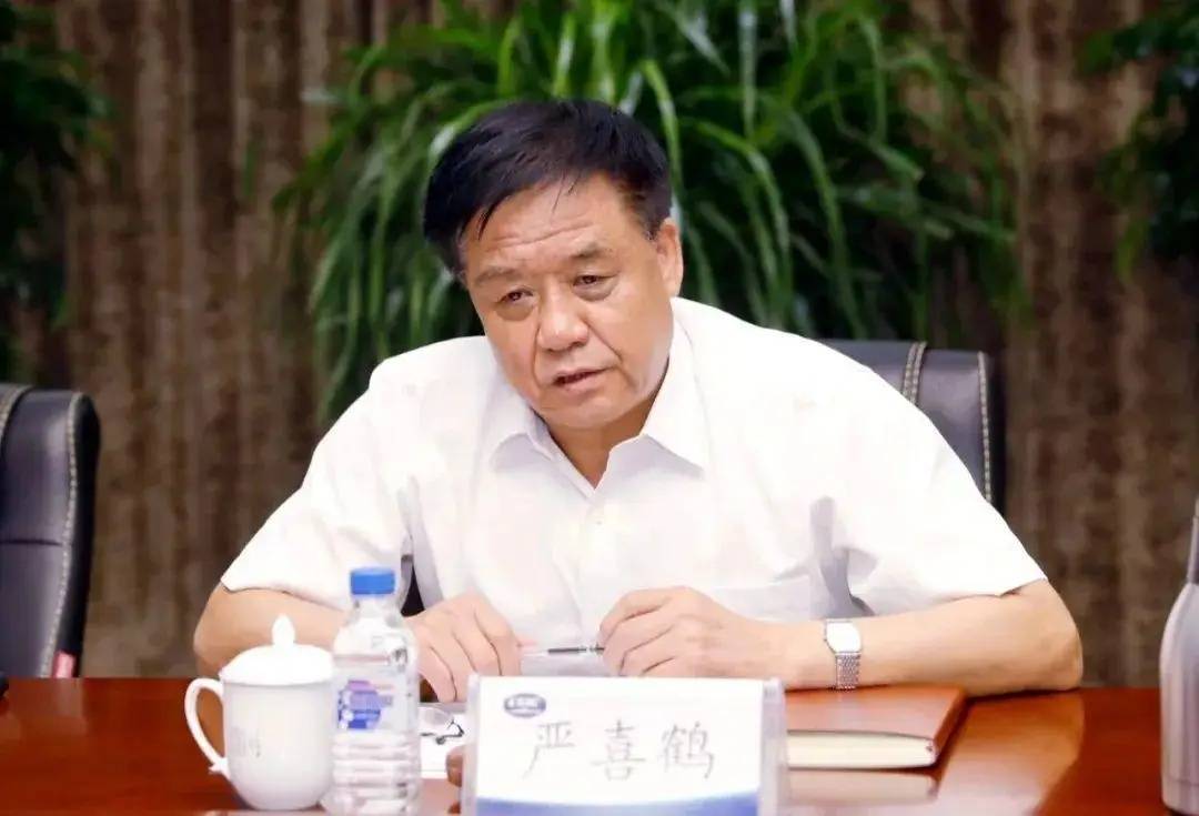 辽宁省葫芦岛市委原副书记严喜鹤被公诉