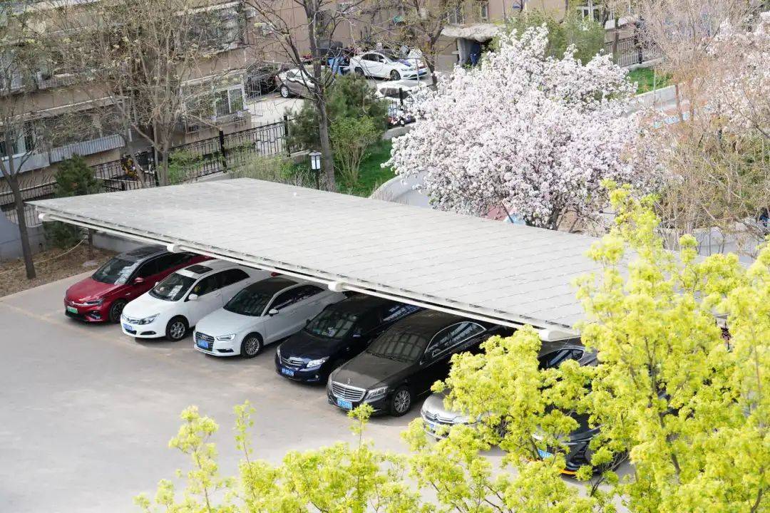 青塔街心公园,周边是青塔蔚园,芳园,秀园等居民小区,别看才1万多平方