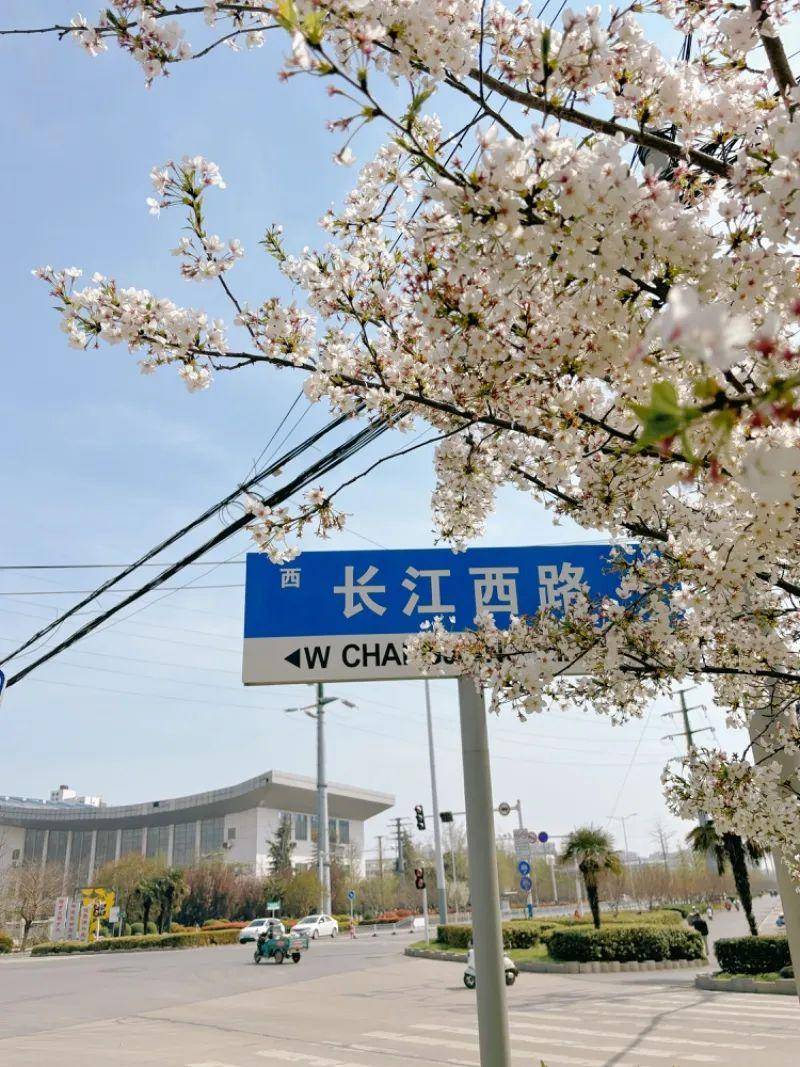 邳州plog还挺好看