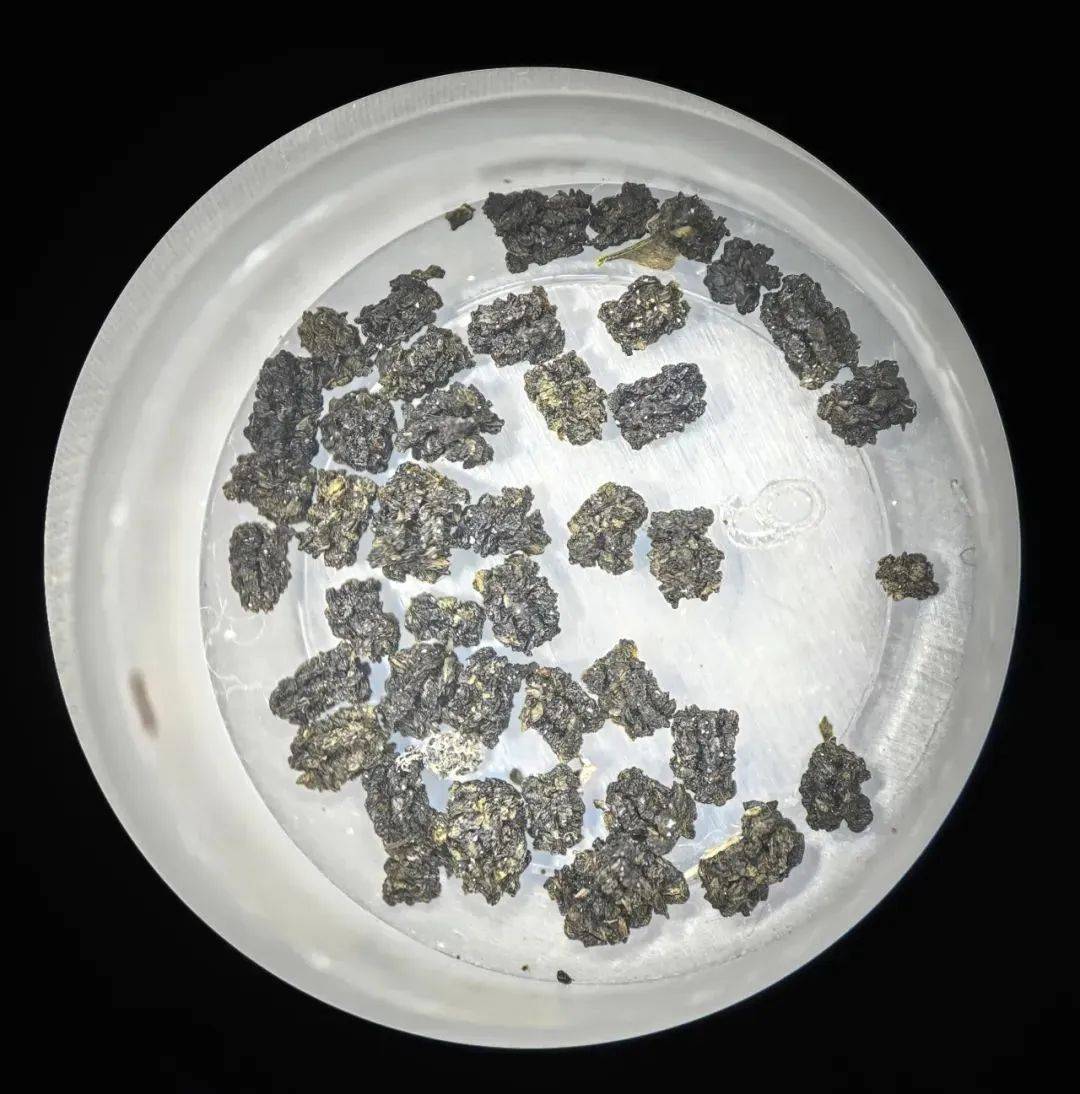 这里有北方地区面积最大的水杉林!