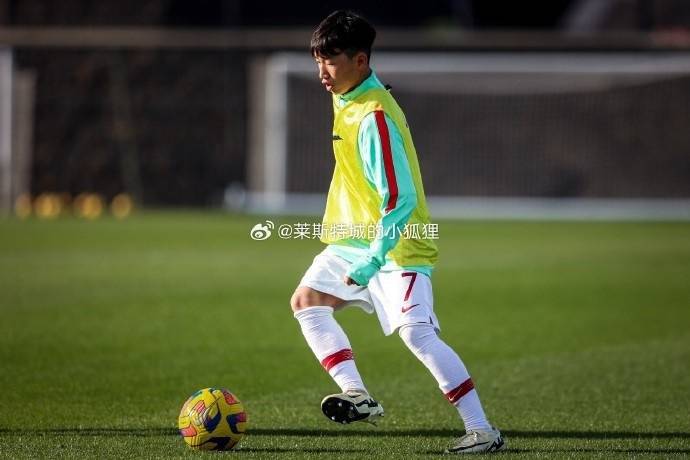 截至目前，王磊在本菲卡U15B队出场20次、打进9球